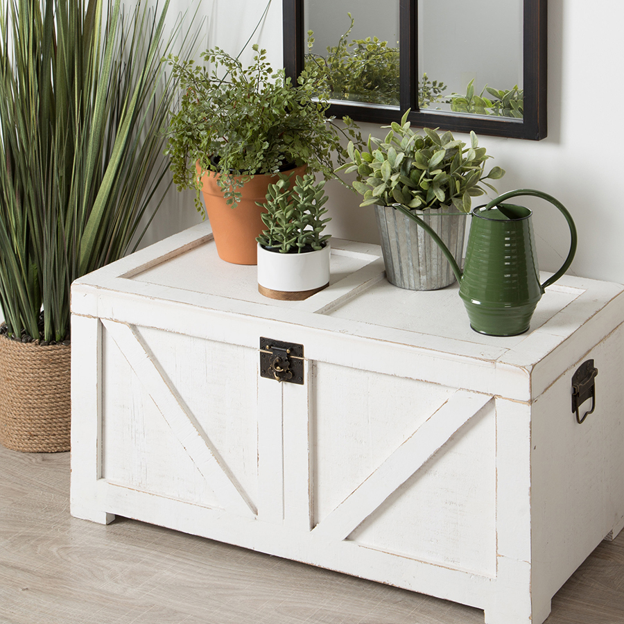 Storage check adorned with various sized plants