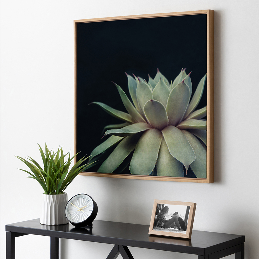 Large framed plant canvas photo